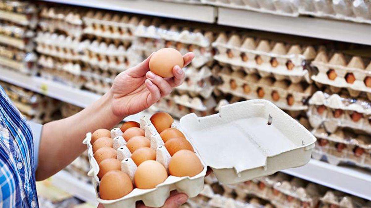 Yumurtada fiyat oyunu! Harekete geçildi, İki ayda iki karar