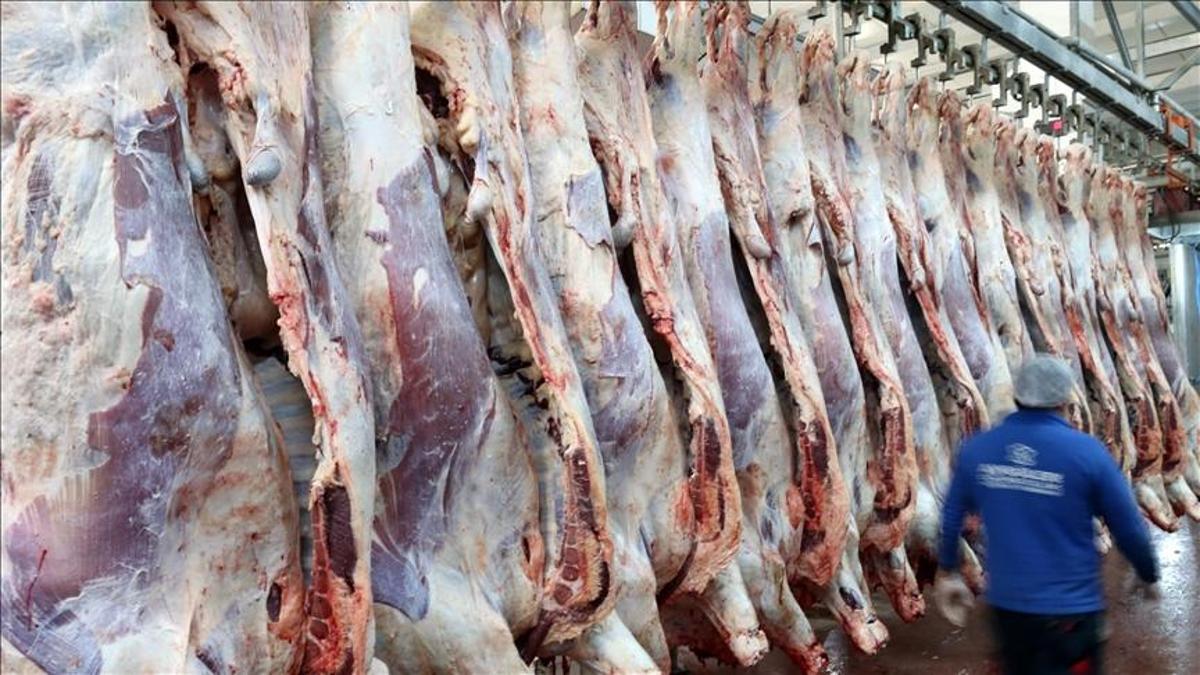 Ticaret Bakanlığı kırmızı ette fahiş fiyat uygulayan ve stokçuluk yapan firmaları tek tek takibe aldı