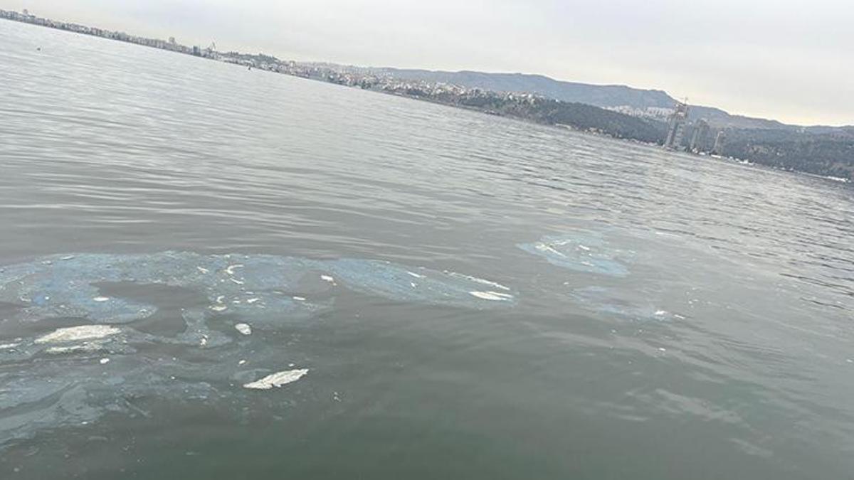 İzmir Körfezi'ni kirleten firmaya 8.3 milyon TL ceza