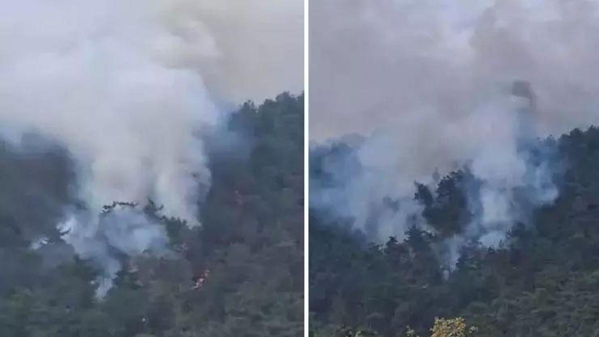 Milas’ta orman yangını
