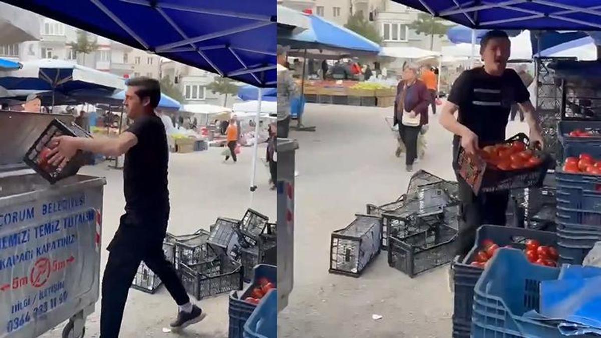 Çorum'da kasa kasa domatesleri çöpe döken pazarcıya milyonluk ceza!