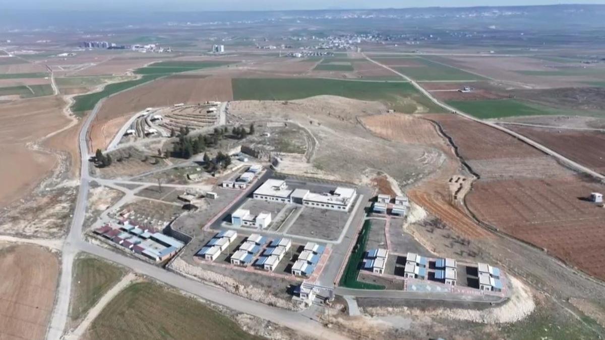 Batman'da toplatılan başıboş sokak hayvanları barınağa yerleştirildi