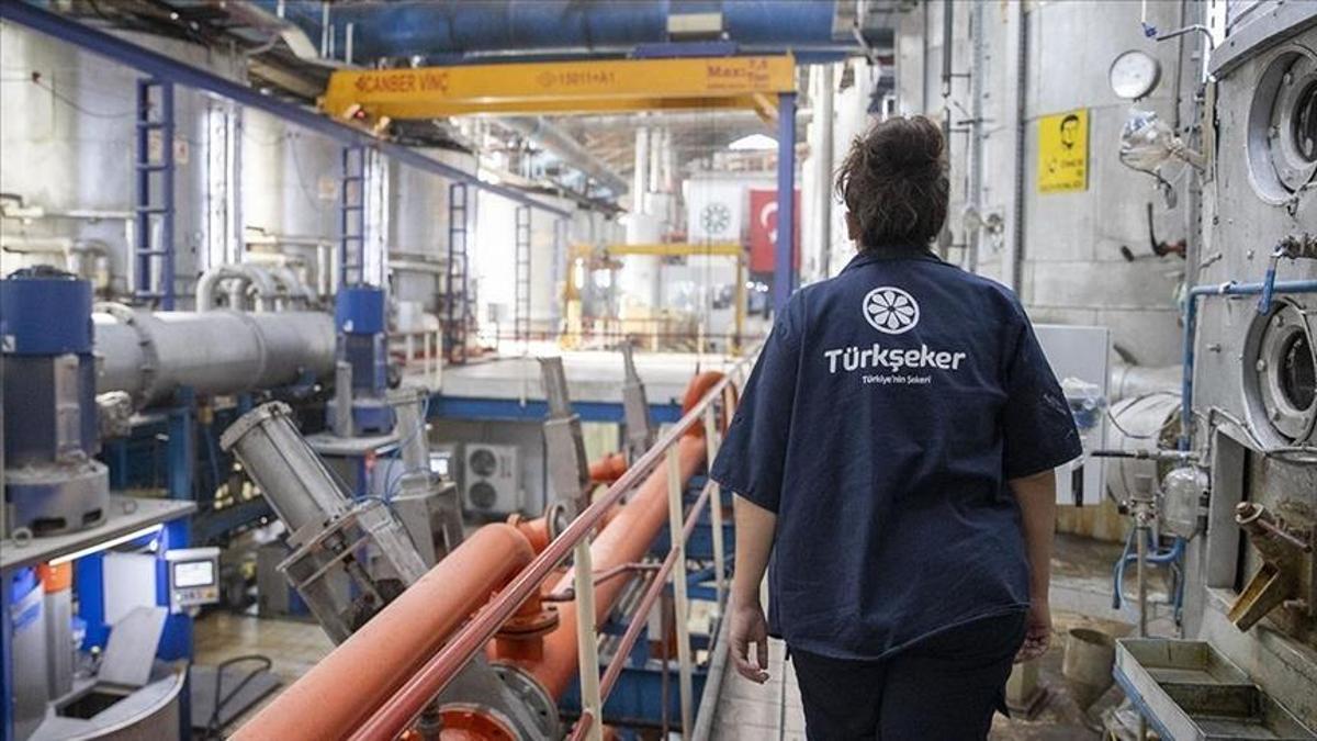 Bakan Yumaklı açıkladı! Türkşeker, işçi istihdam edecek