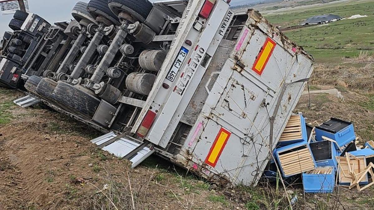 Arı kovanı yüklü TIR şarampole devrildi: 1 yaralı