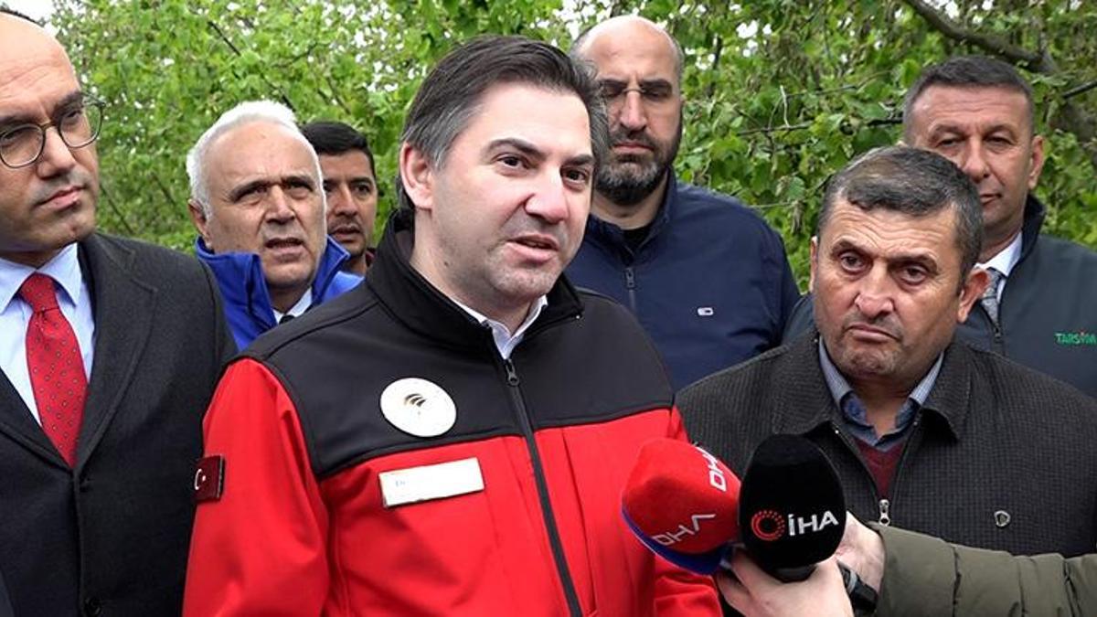 Tarım ve Orman Bakan Yardımcısı Bağcı, Samsun'da zirai donun vurduğu fındık bahçelerinde denetim yaptı