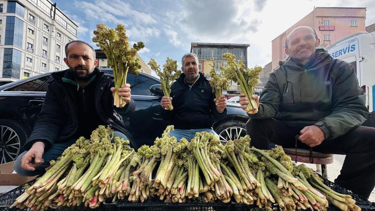 Bu sene az yetişti, destesi 100 liradan satılıyor! Vatandaşın geçim kapısı oldu, faydası saymakla bitmez