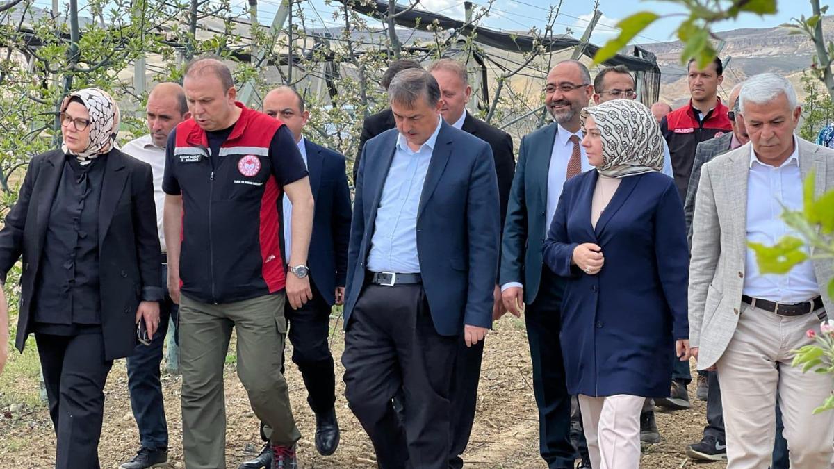 AK Partili Böhürler, 'zirai don' sonrası çiftçilerle bir araya geldi