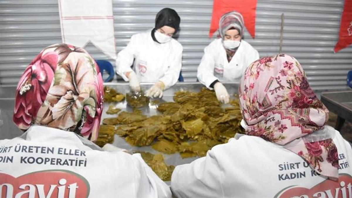 Karşılıksız para desteği! 150 bin TL verilecek, başvurular başladı