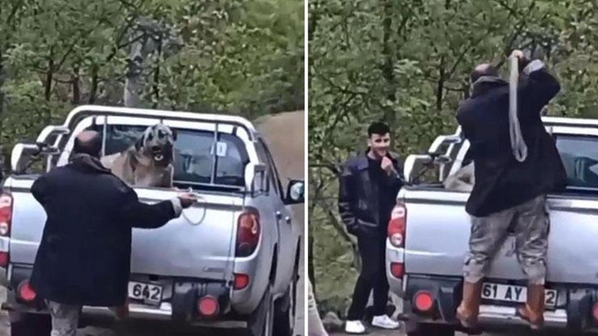 Köpeğe halatla şiddet uygulayan şahıs gözaltına alındı