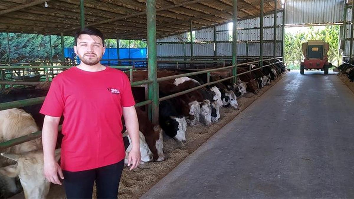 Kurban fiyatları belli oluyor! Geçen yıla göre değişiklik var mı?