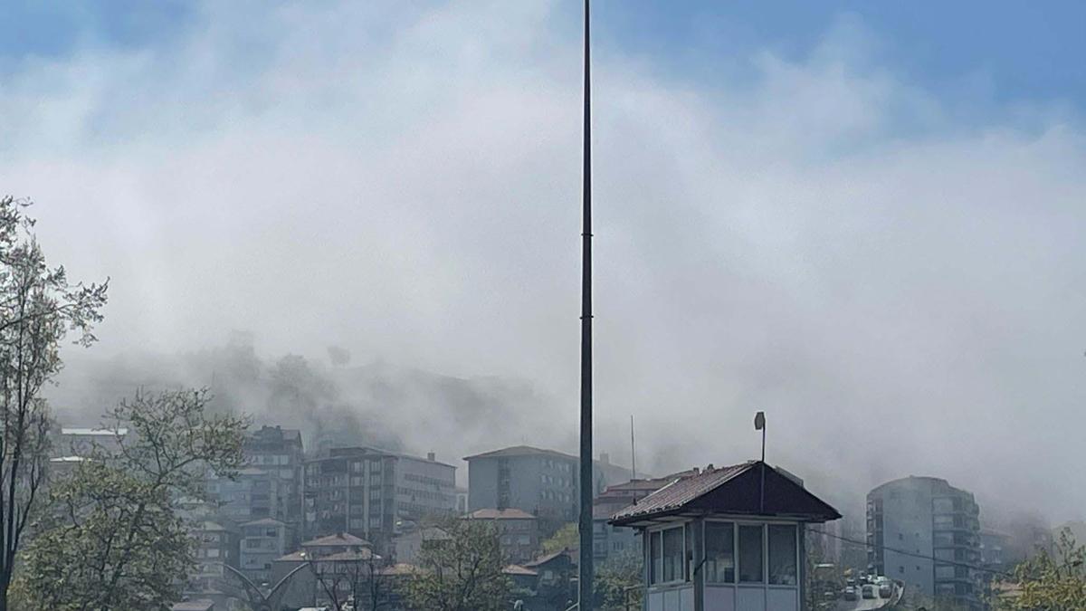 Zonguldak'ta sis etkili oldu