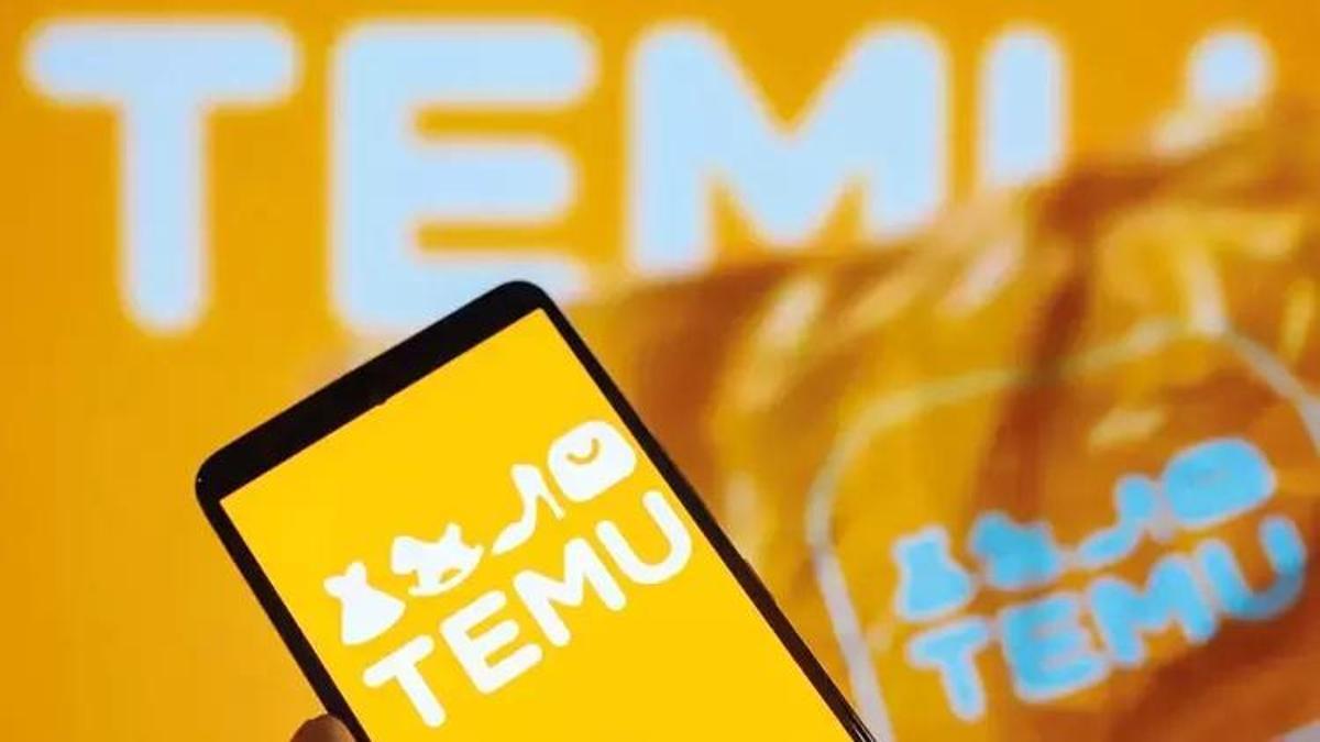 TEMU temsilci atamadı, erişim engeli kapıda