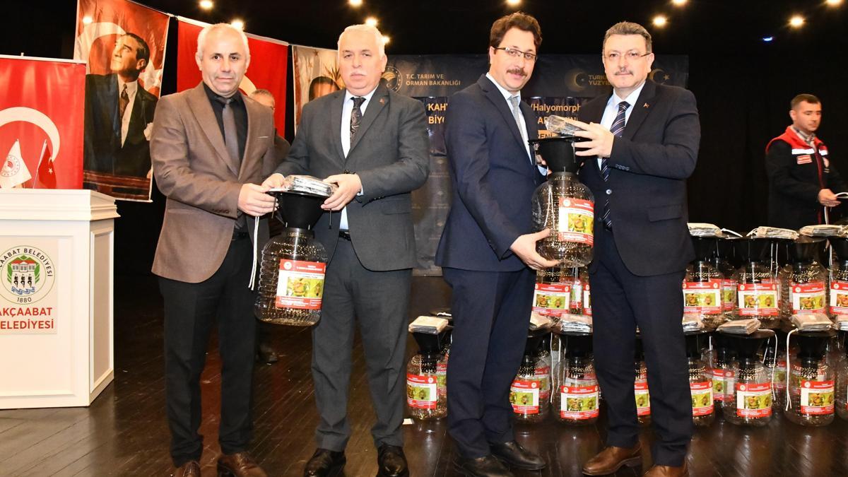 Kahverengi Kokarca ile Mücadelede Seferberlik