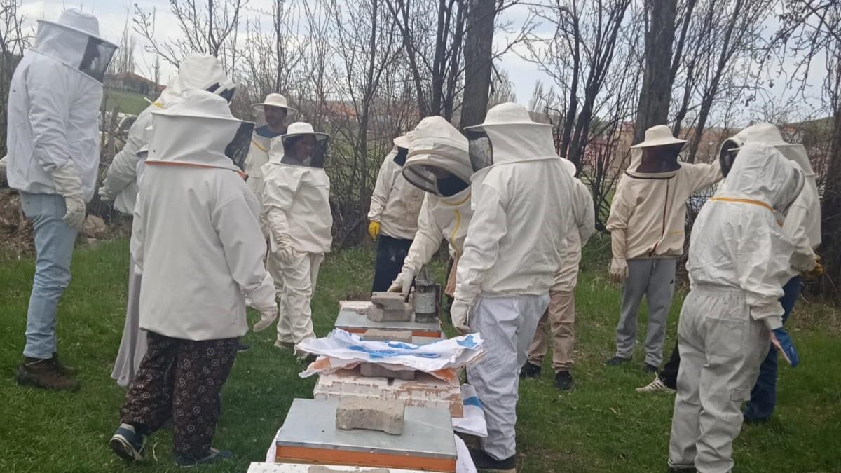 Şarkışla'da arıcılık kursu açıldı