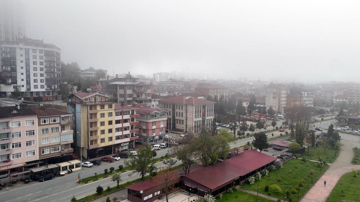 Artvin'de sis etkili oldu