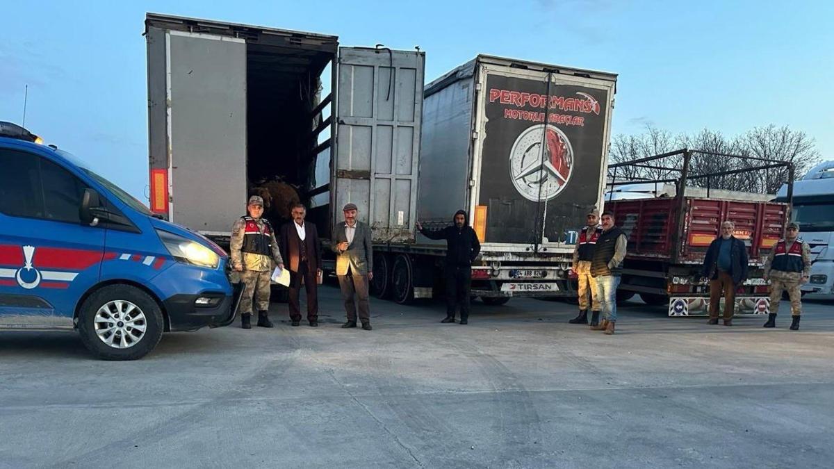 Ağrı'da çalınan yüzlerce koyun Bitlis'te durdurulan 3 TIR'da bulundu