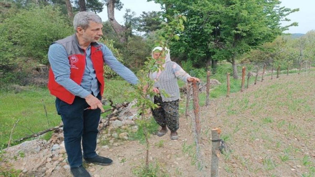 Muğla'da kapsamlı tarımsal takip başladı