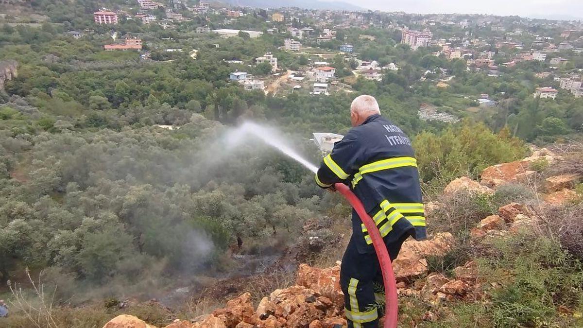 Hatay’da 2 dönüm zeytinlik yandı