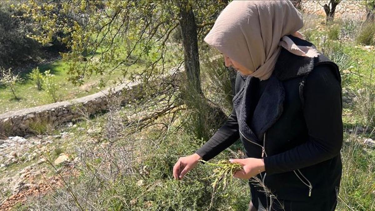 Ne eken var ne de biçen! Doğada kendiliğinden oluy…