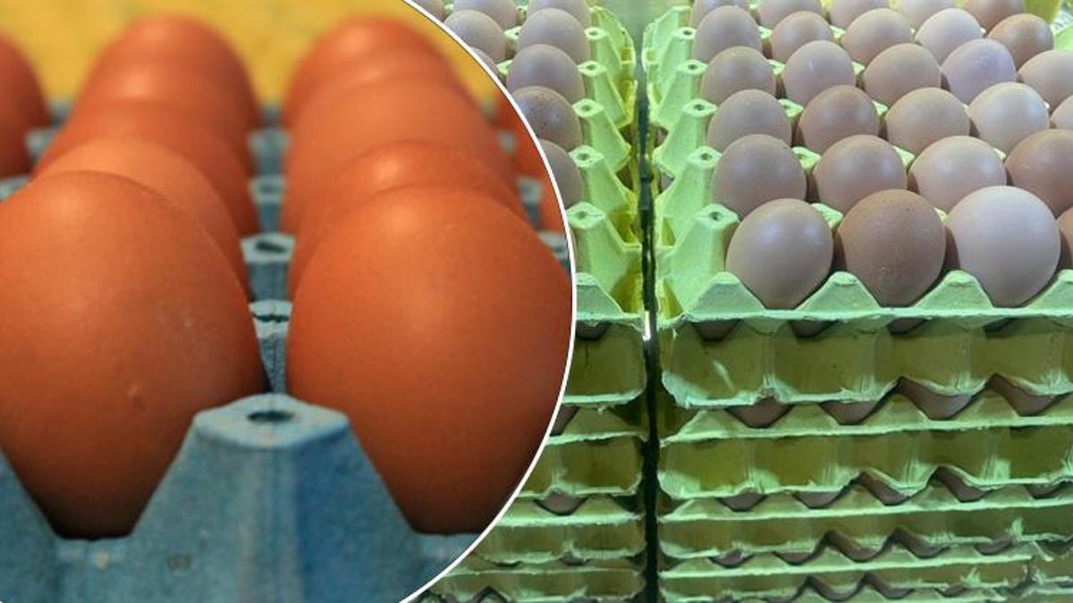 Ramazan hareketliliği sona erdi: Yumurta fiyatları geriliyor