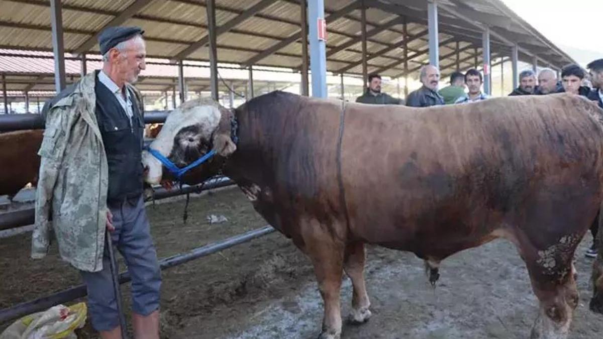 Küçükbaş 10 binTL , büyükbaş 80 bin TL: Bayram öncesi hareketlilik başladı