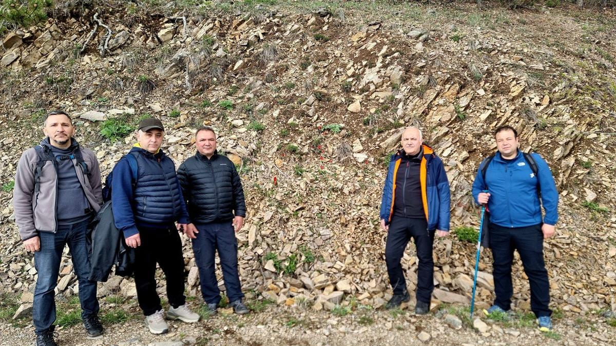Kızılcahamam'da Görülebilen Dağ Lalesi