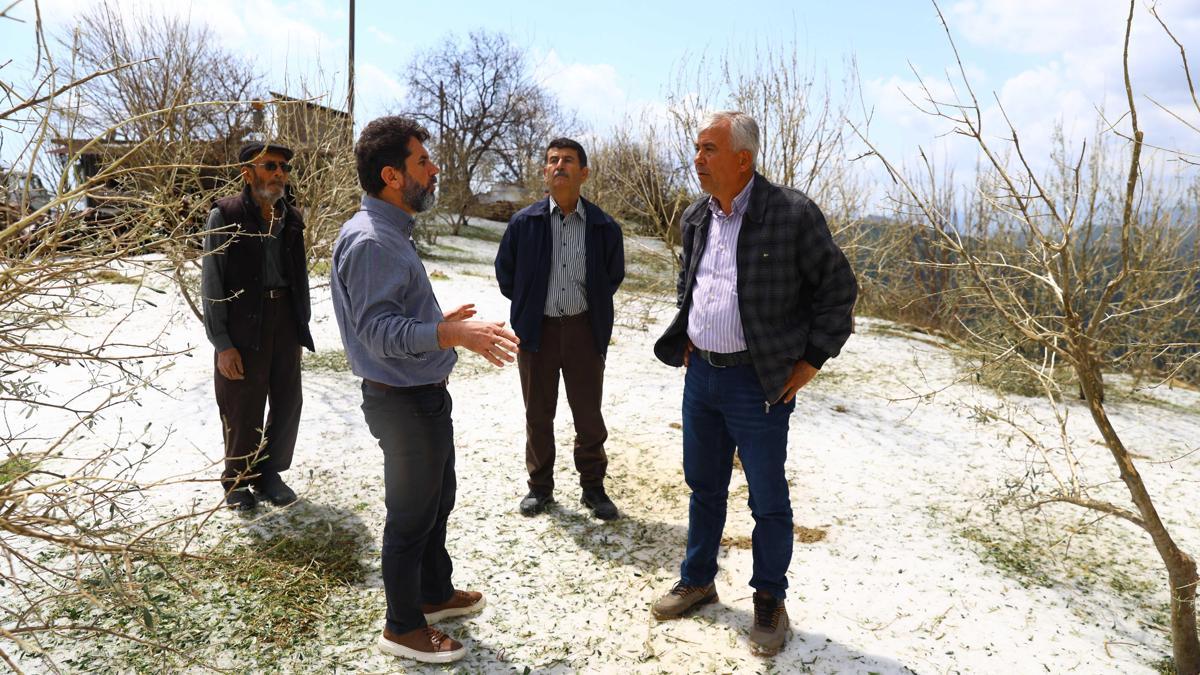 Manavgat'ta Dolu Hasarı: Tarım Alanları ve Seralar Etkileniyor
