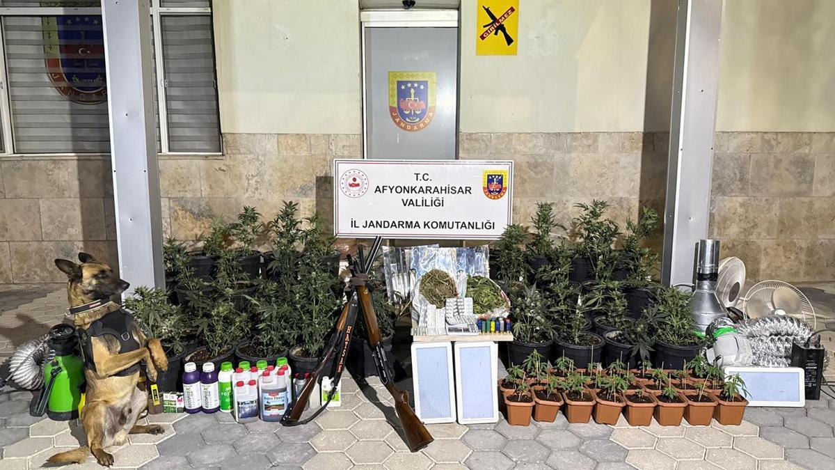 Afyonkarahisar'da Kenevir Üreten 2 Şüpheli Yakalandı