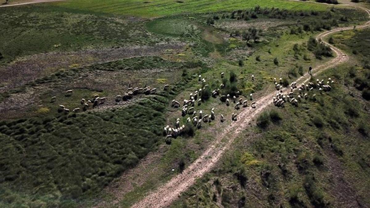 Üzerinde koyun otlattıkları barajda şimdi balık avlıyorlar! Bursa'daki barajın son hali sevindirdi