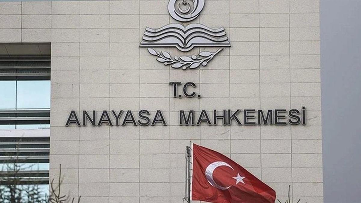 AYM’den sokak hayvanları yasasına onay! İptal talebi reddedildi