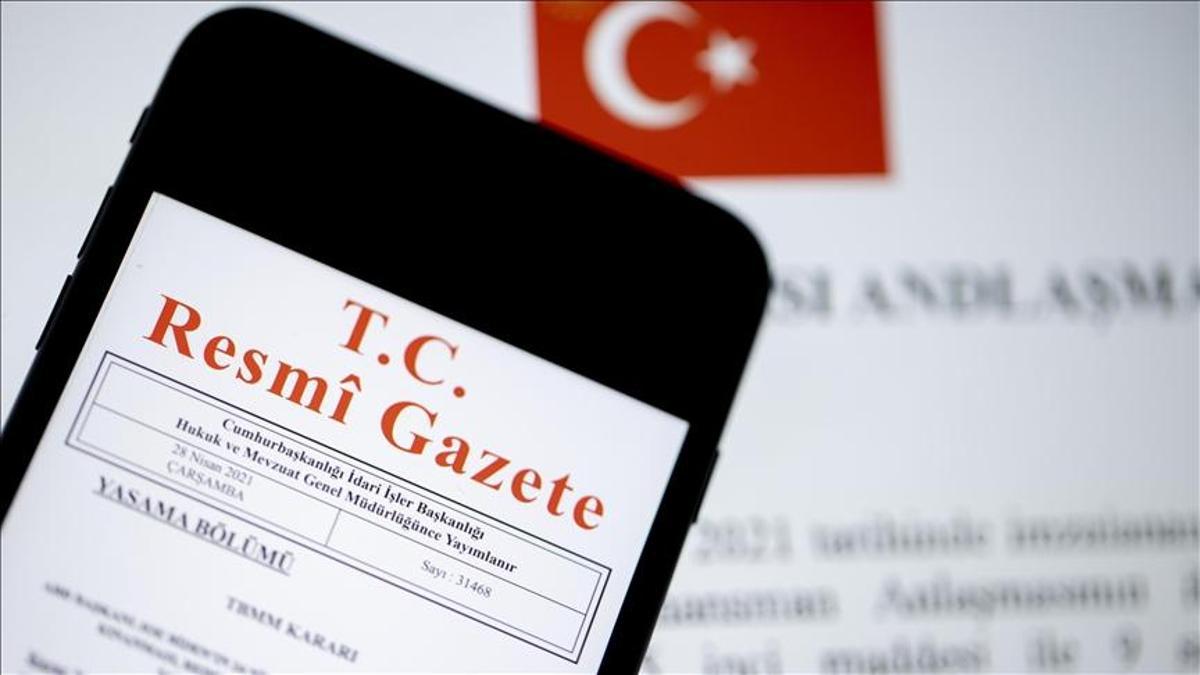 Yeni fakülteler ve enstitüler kuruldu