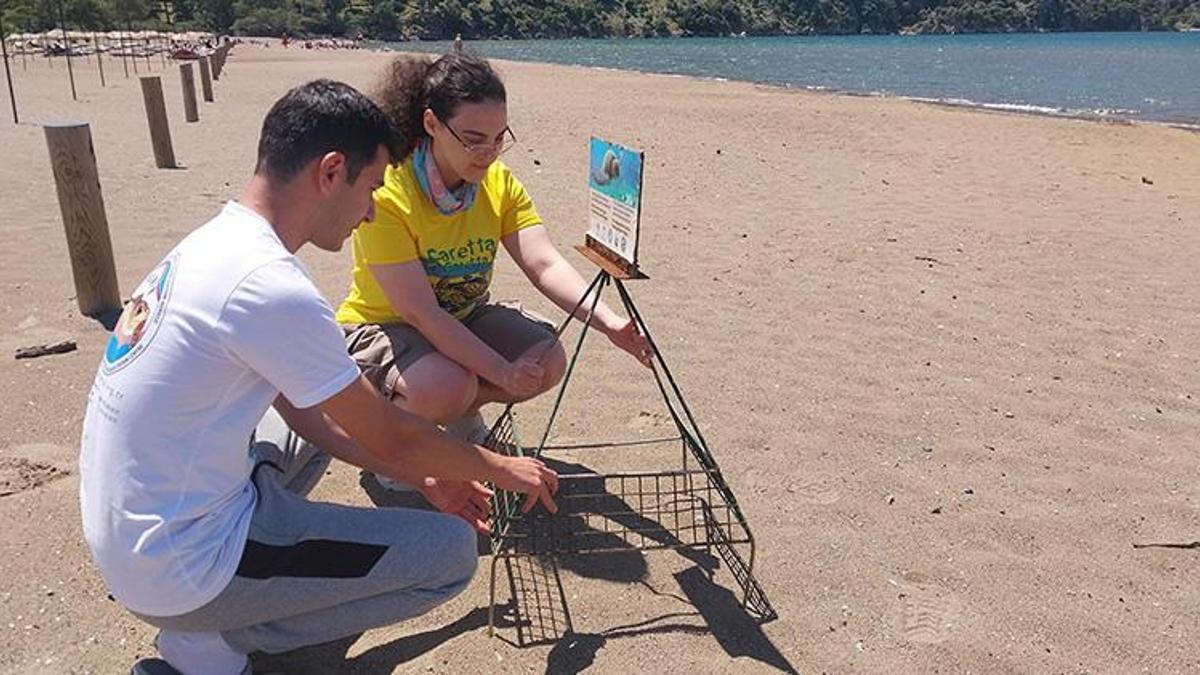 İztuzu Sahili'nde caretta caretta yuvası sayısı 10'a ulaştı