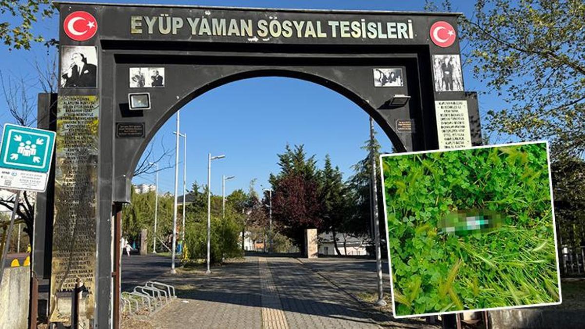 Parkta bulduğu şişede su var sanıp kafalarına diktiler sonrası hastanede bitti