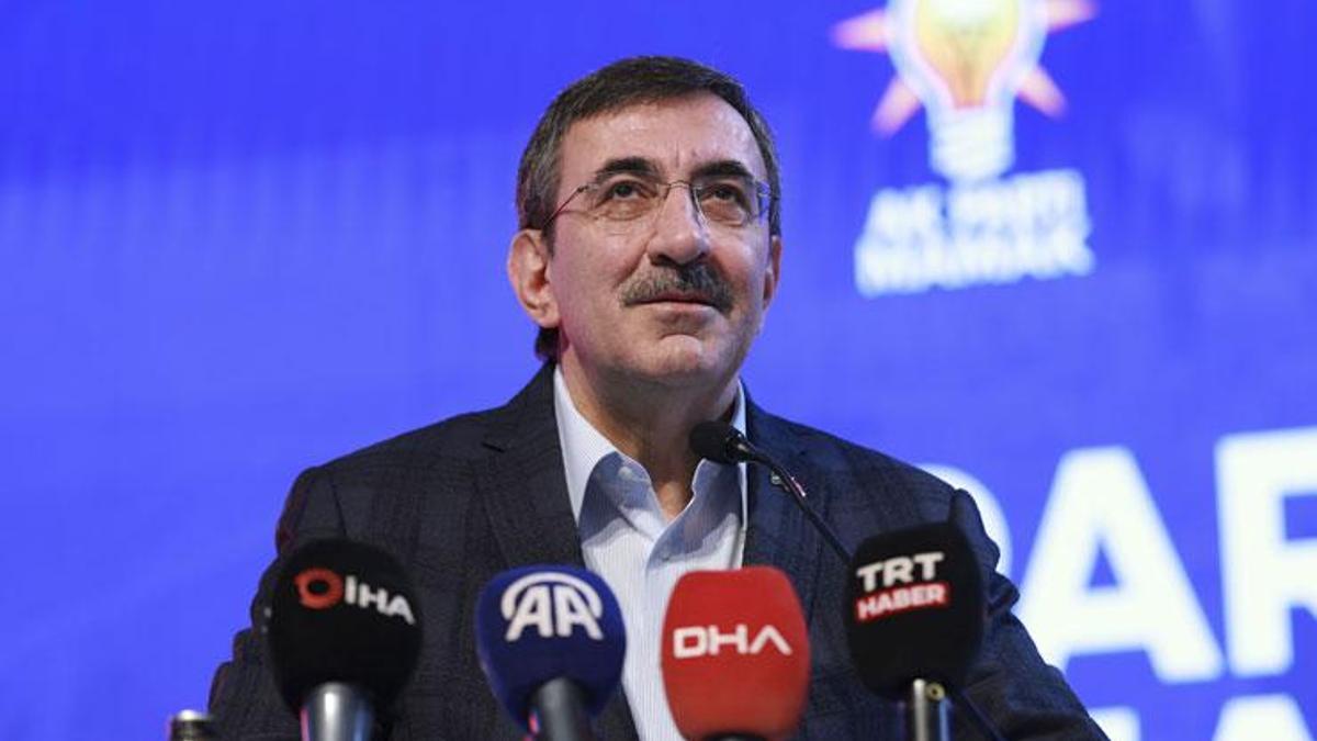Cumhurbaşkanı Yardımcısı Yılmaz'dan Pakistan ile Hindistan arasındaki ateşkes için açıklama