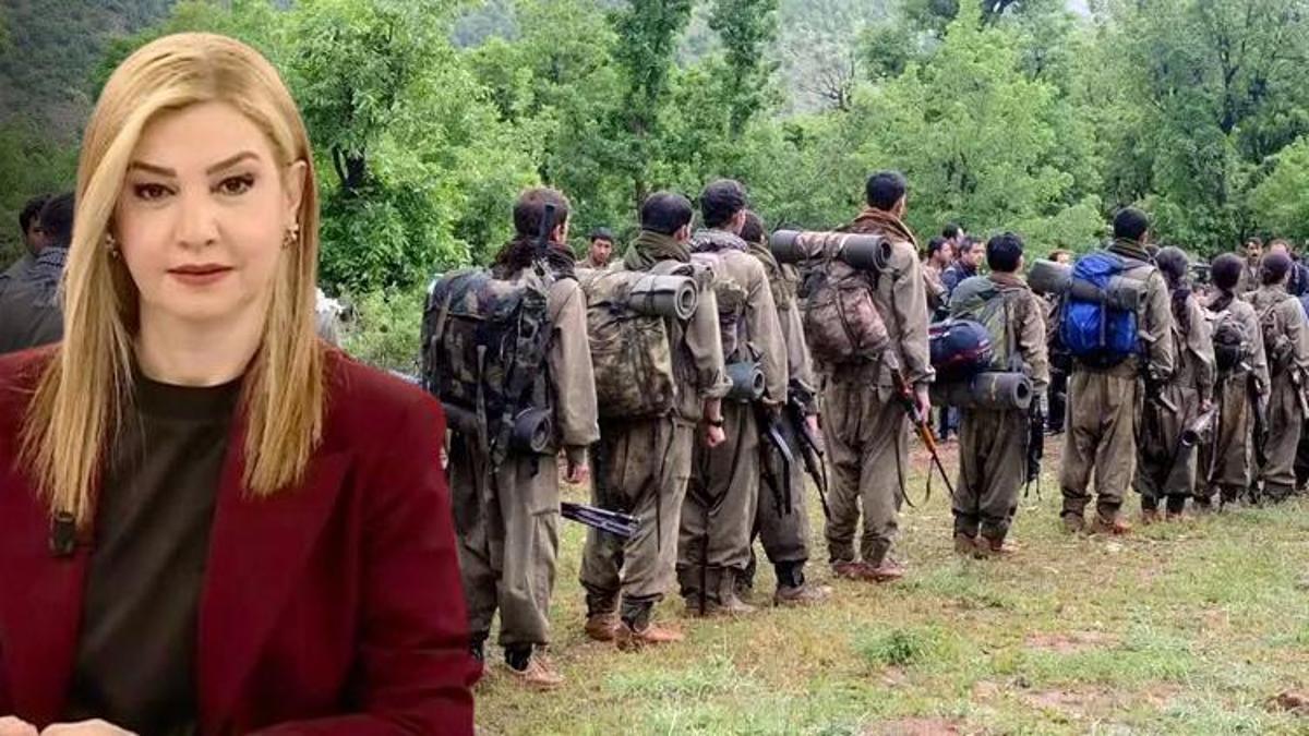 Türkiye terör sorununda yeni bir sayfa açıyor! Dicle Canova perde arkasını CNN TÜRK’te anlattı