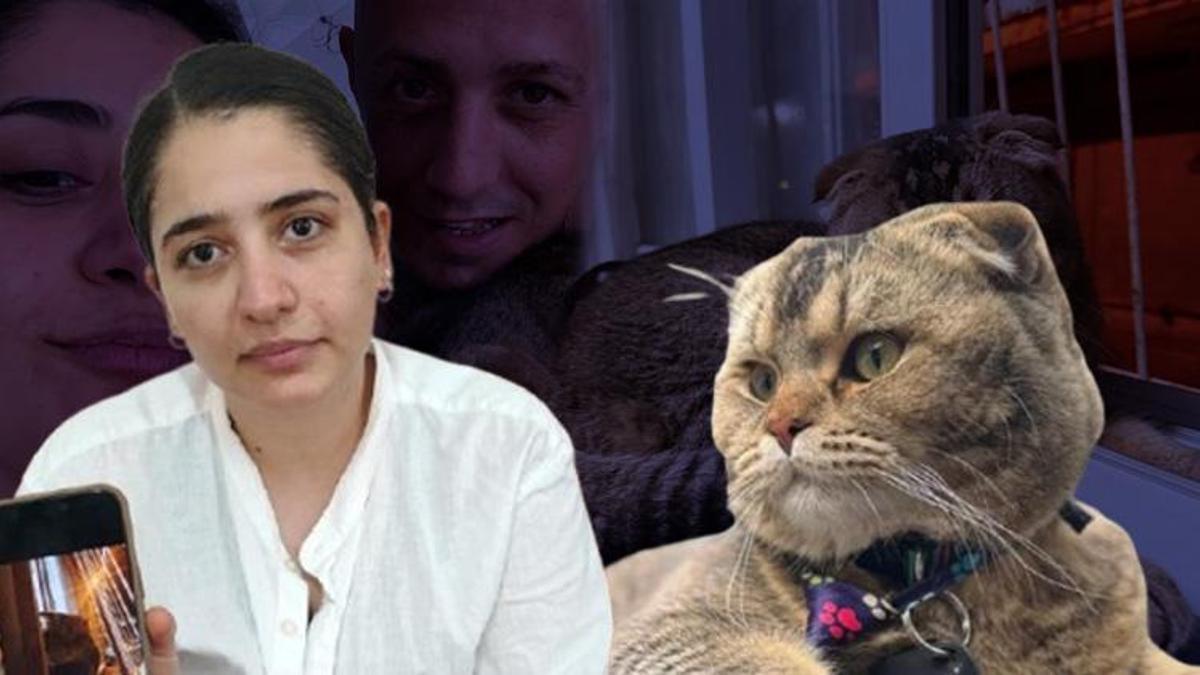 Adana'da kedi krizi! 3 ündür kayıp olan Diablo bulunmazsa evlilik bitecek!
