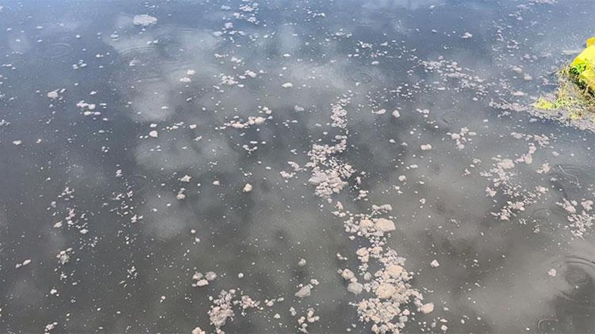 Yalova'da kanalizasyon suyu denize aktı! YASKİ'ye 4 milyon lira ceza kesildi