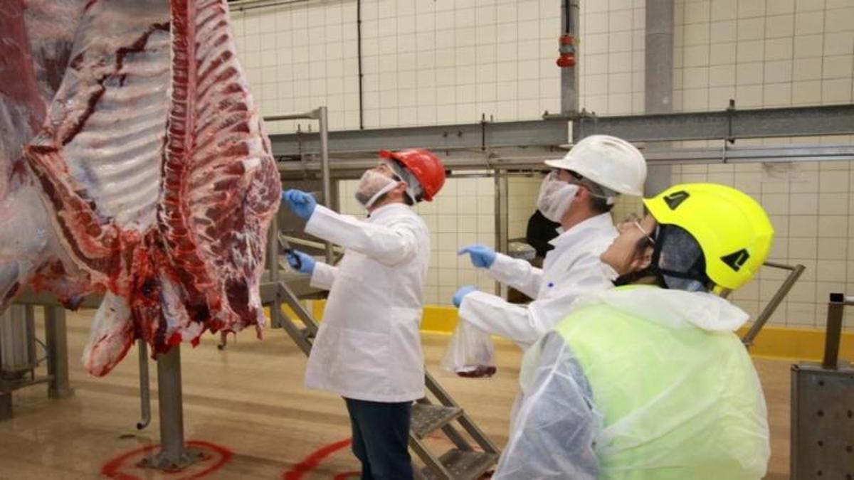 Kurban kesimi için internetten başvuru yapılıyor! 15 Mayıs'ta başlayacak