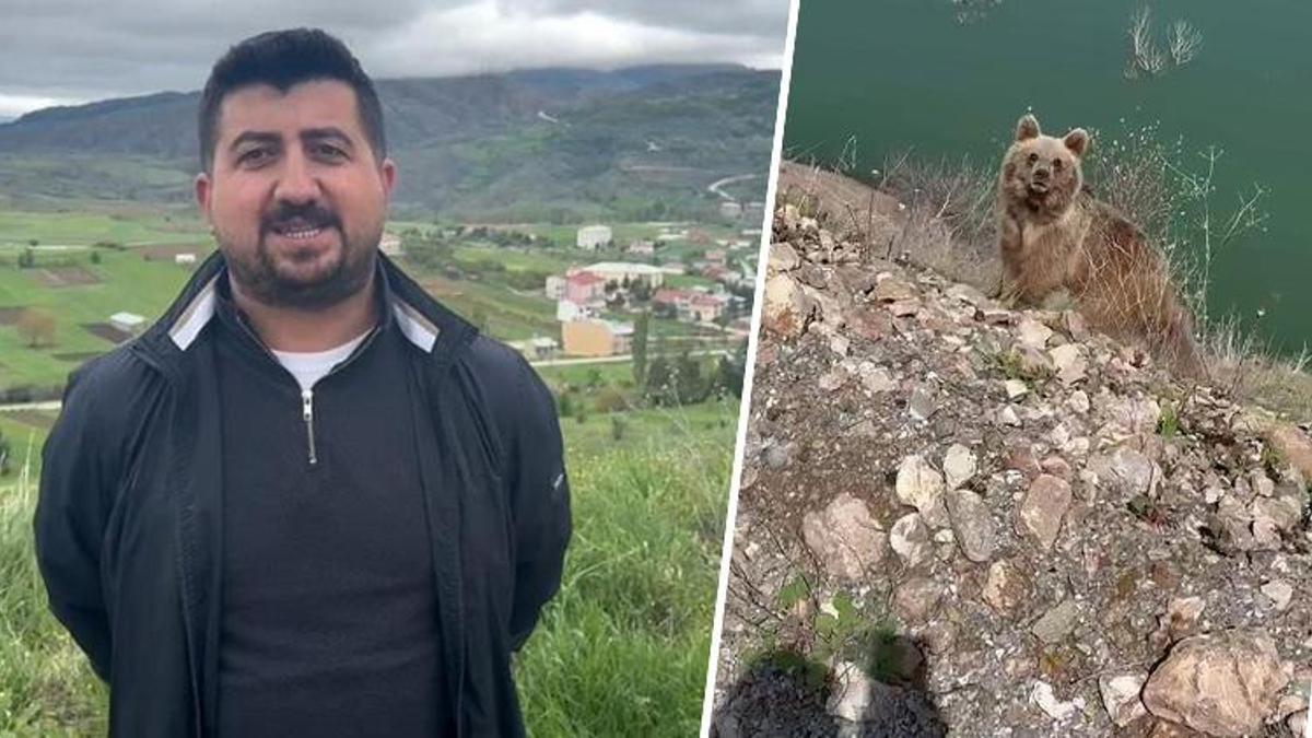 Sivaslı vatandaşın ayıyı görüntüleme macerası istediği gibi bitmedi!