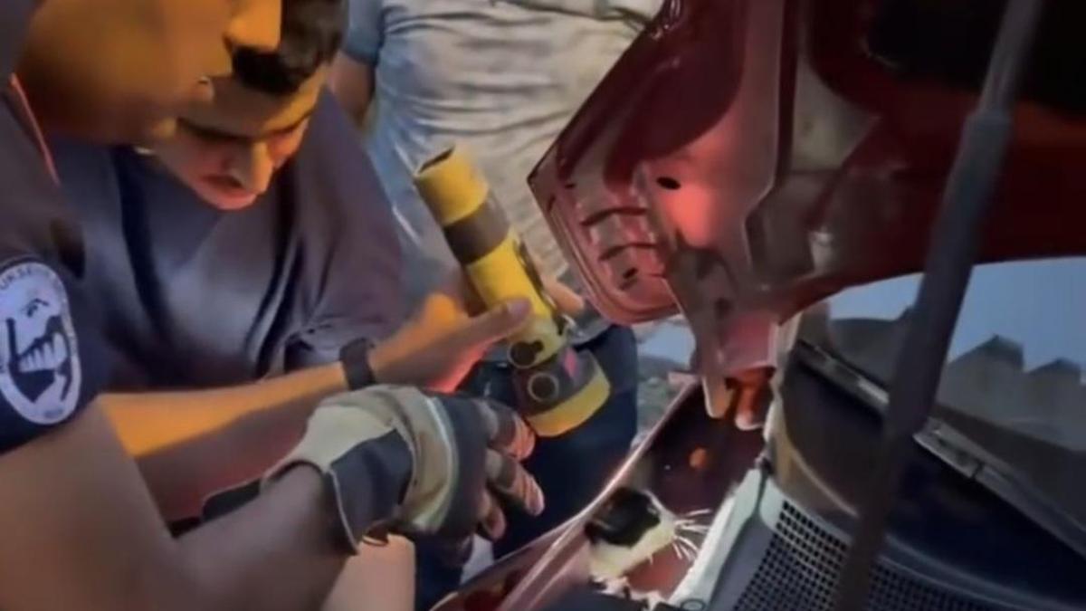 Otomobile sıkışan kediyi itfaiye ekibi kurtardı