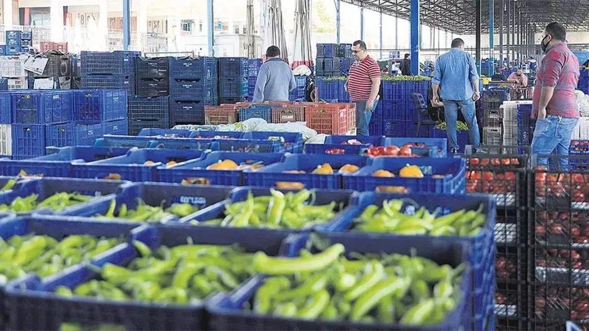 Hallerde ucuzluk dönemi cezalarla başlıyor