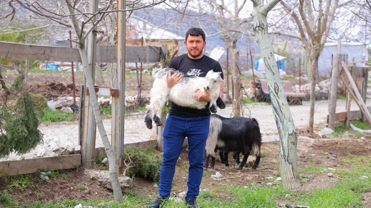 Kahramanmaraş'ta don ve dolu vuran ceviz bahçeler boş kaldı, çiftçi geçim kaynağını değiştiriyor