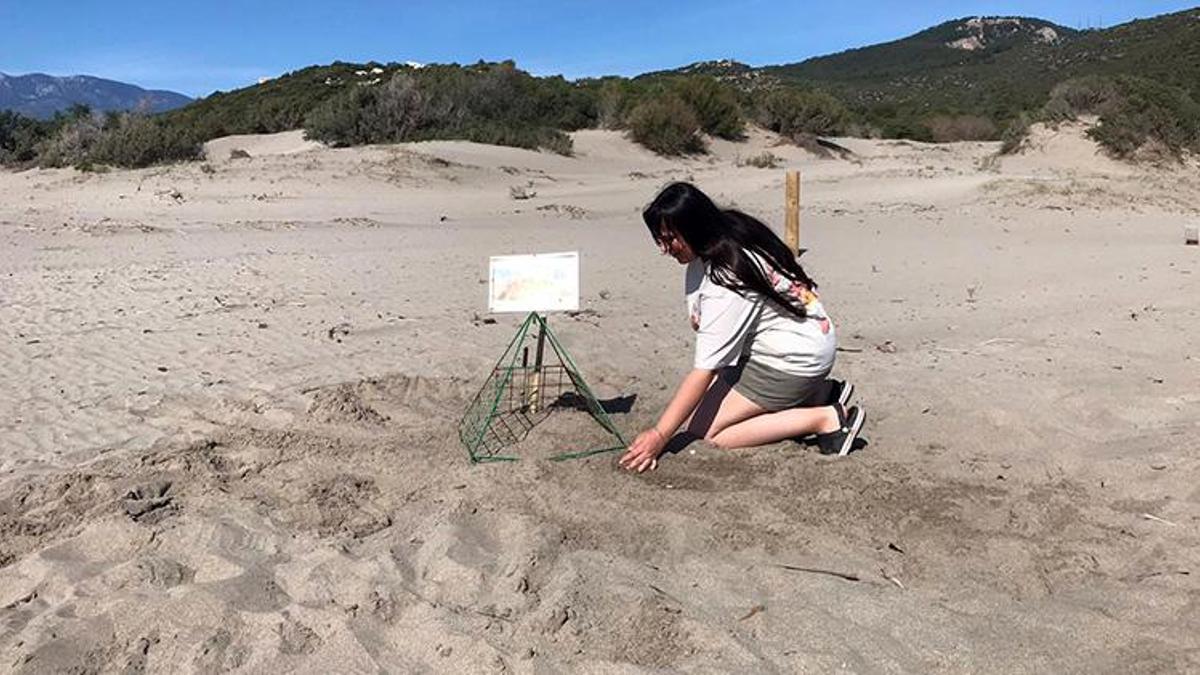 Antalya'ya tatile gidenler dikkat! Bu plajlara belli saatlerin dışında girmek yasak