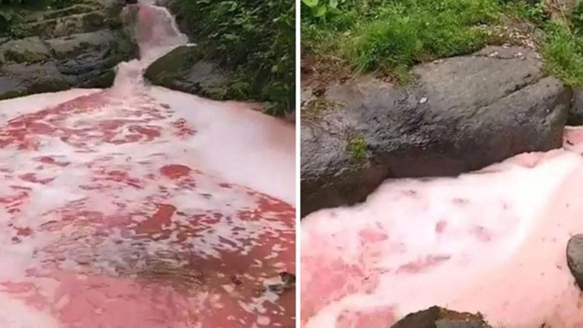 Rize'de dere rengi kırmızıya döndü! Soruşturma başlatıldı