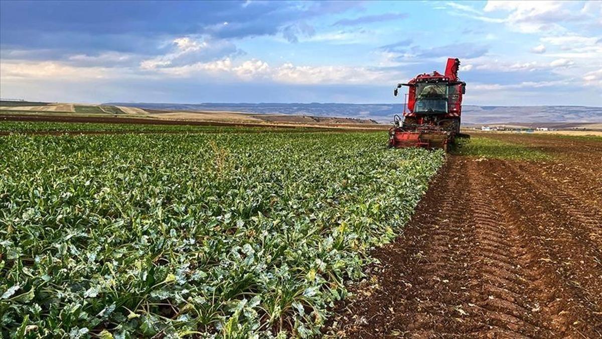 Çiftçilere 3,3 milyar lira destek ödemesi bugün hesaplara yatacak