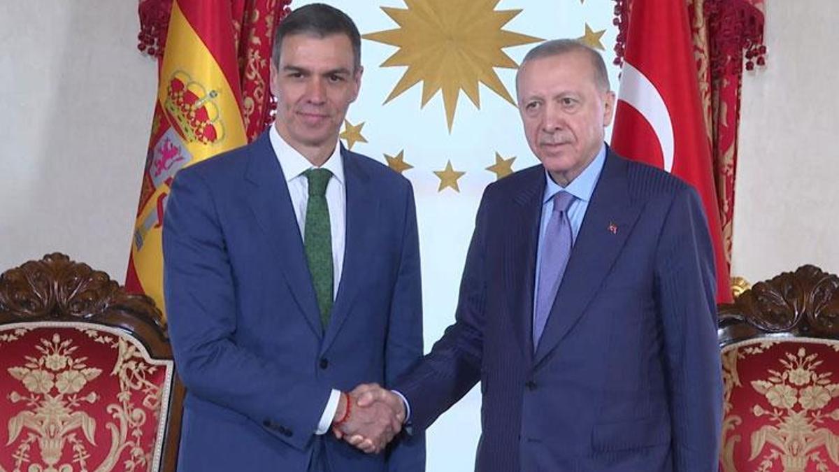 Erdoğan, İspanya Başbakanı Pedro Sanchez'i kabul etti