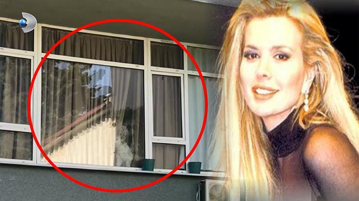 Harika Avcı'ya ne oldu, 5 yıldır süren gizemin nedeni ne? Tüm bilenler Neler Oluyor Hayatta'ya konuştu