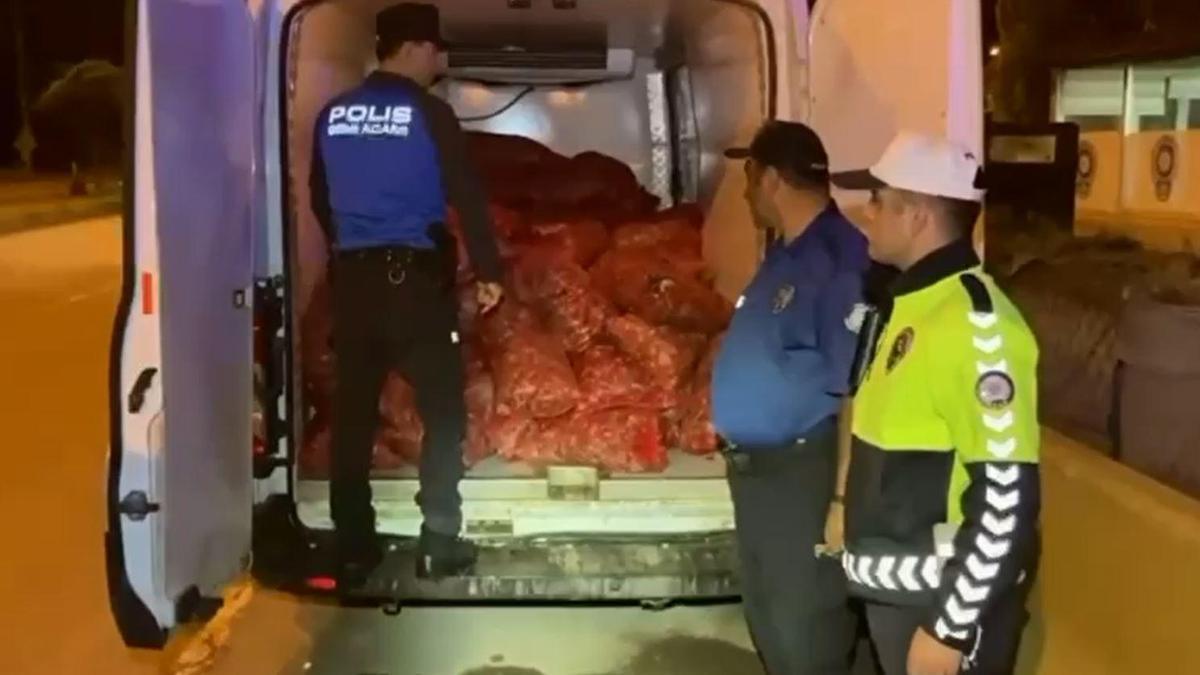 Samsun'da Kaçak Midye Operasyonu
