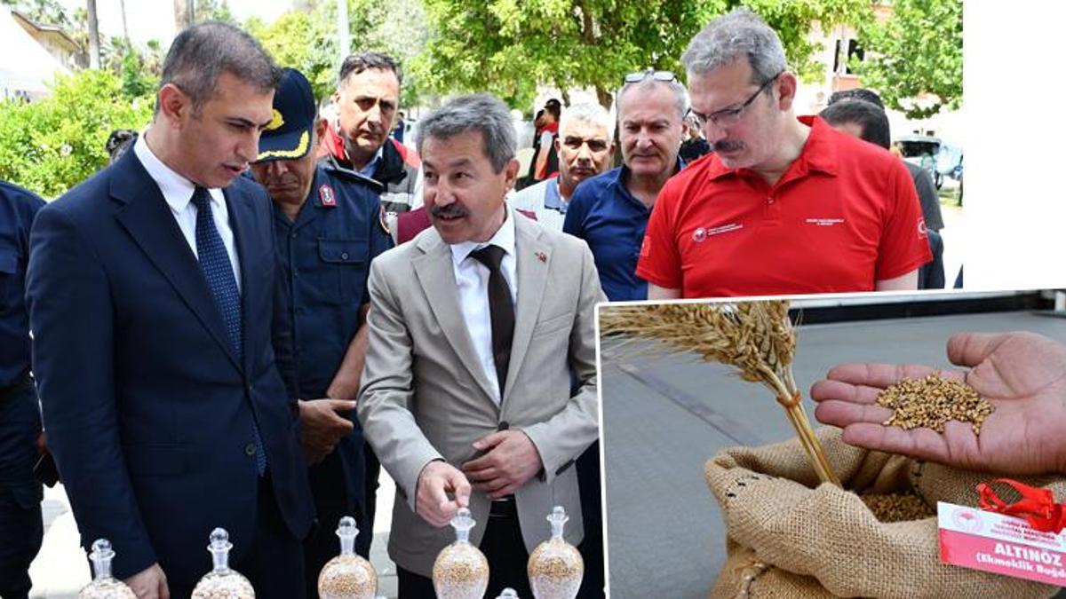 Adana'da tarıma güçlü destek: 8 çeşit tohum tarımsal üretime kazandırılacak