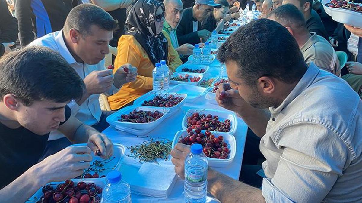 Manisa'da gerçekleştirilen kiraz yeme yarışmasında birinci olan yarışmacıdan rekor!
